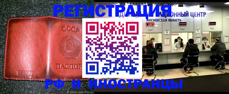 временная регистрация поиск в Камышине